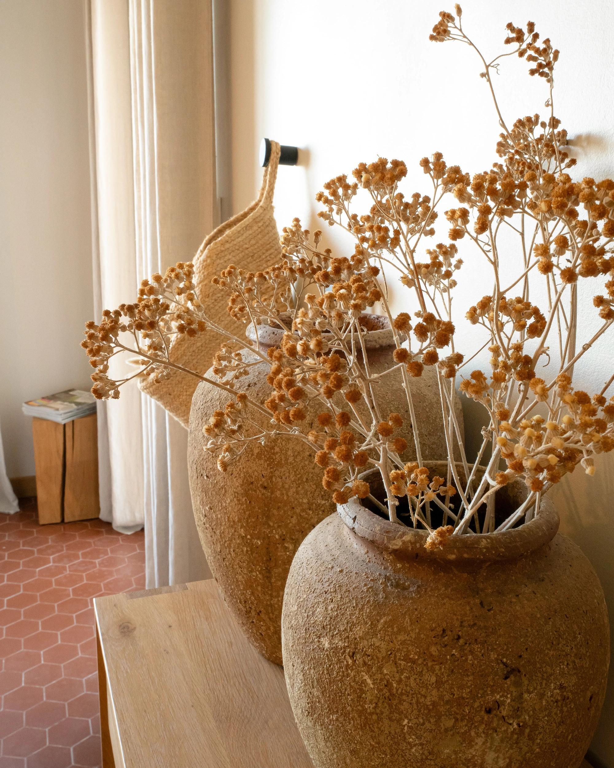 Vases en terre cuite et fleurs séchées dans un salon